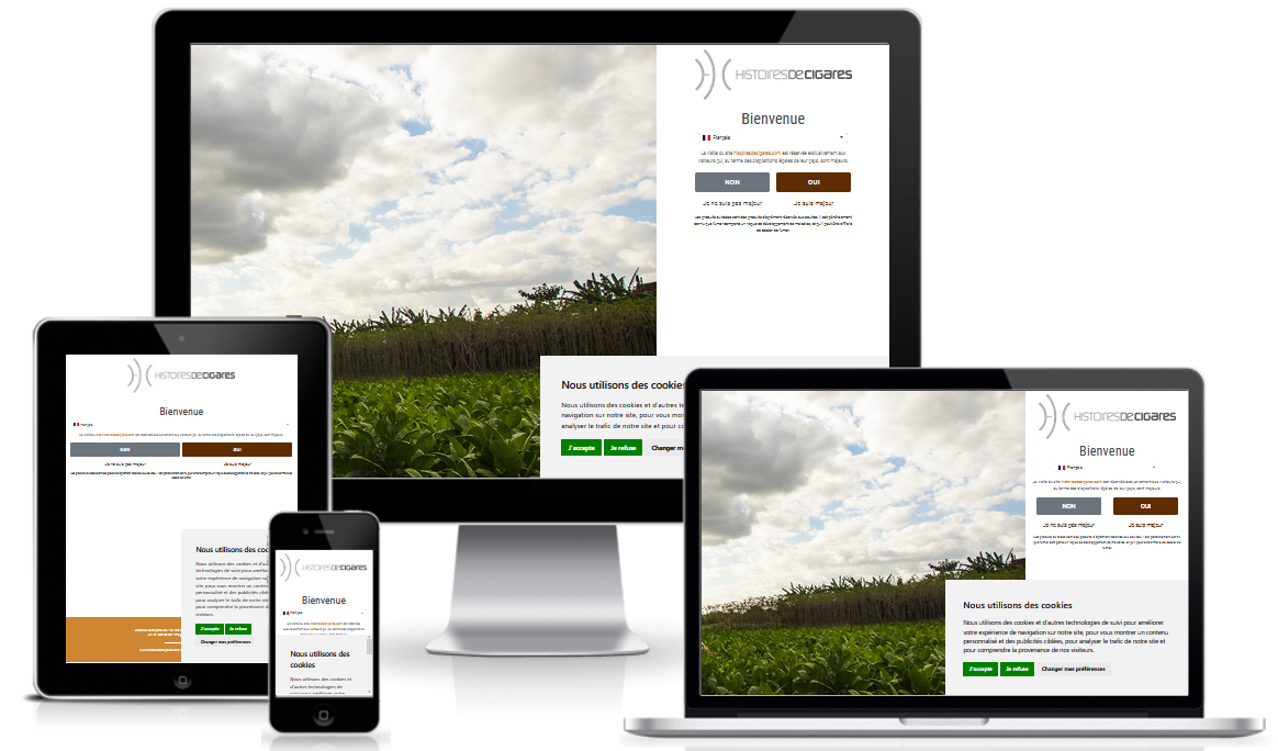 https://www.incroyable-webagency.fr/img/cms/capt8.PNG